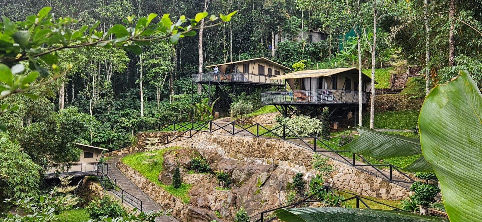 ZPODZ installed in a hill or plantation setting