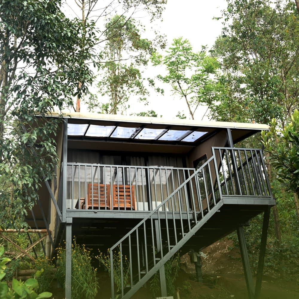 CampWoody gallery 1